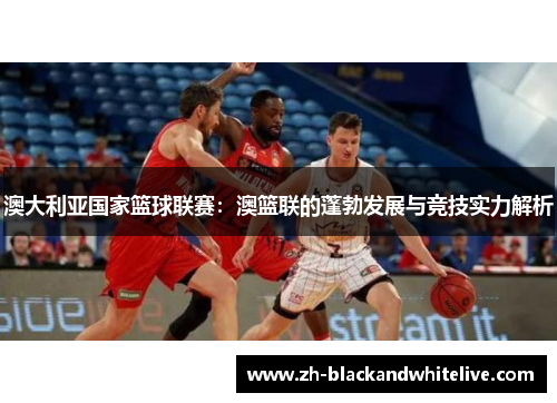 澳大利亚国家篮球联赛:澳篮联的蓬勃发展与竞技实力解析 澳大利亚国家篮球联赛:澳篮联的蓬勃发展与竞技实力解析