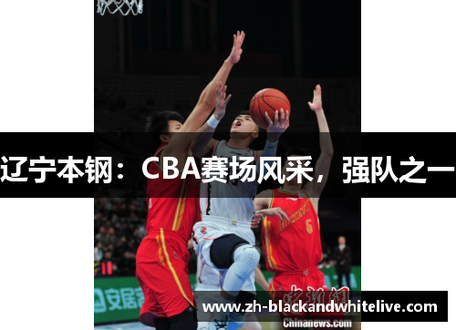 辽宁本钢:CBA赛场风采,强队之一 辽宁本钢:CBA赛场风采,强队之一