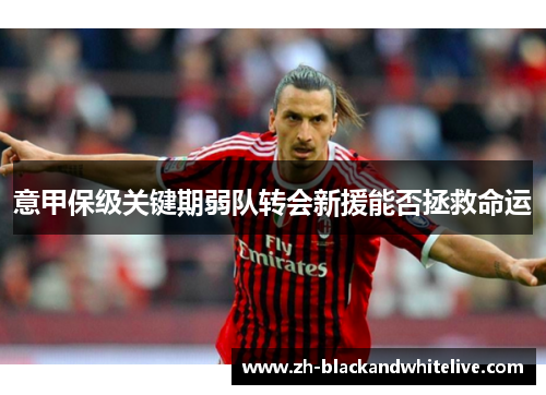 意甲保级关键期弱队转会新援能否拯救命运 意甲保级关键期弱队转会新援能否拯救命运