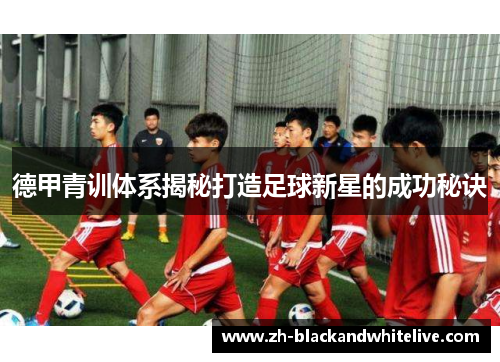 德甲青训体系揭秘打造足球新星的成功秘诀 德甲青训体系揭秘打造足球新星的成功秘诀